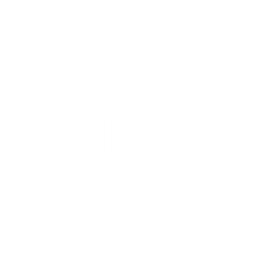 validus-Logo